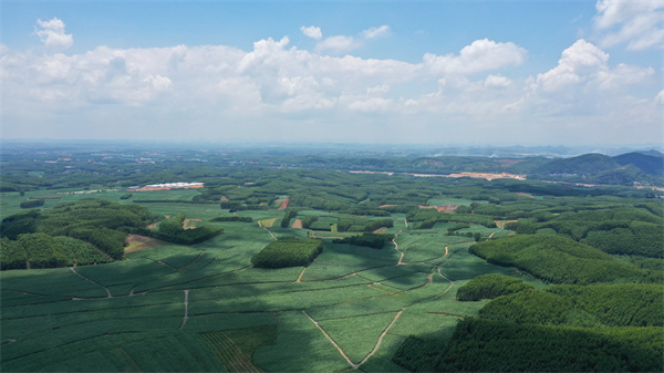 DJI_0920.jpg