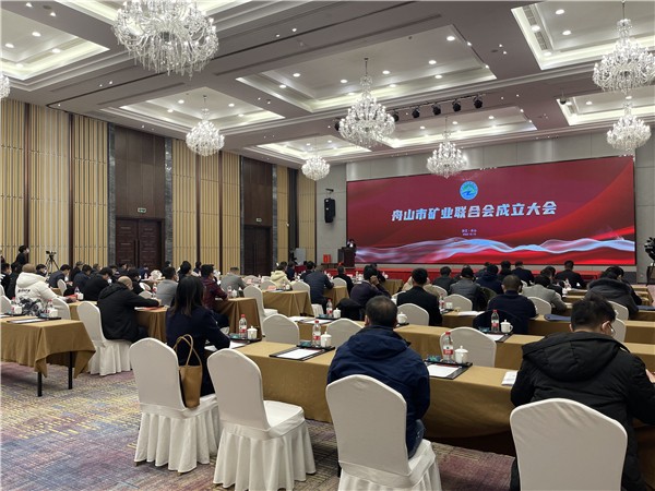 会议现场2_副本.jpg