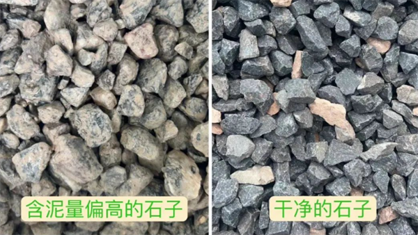 1692076232258032.png mtxx01.png