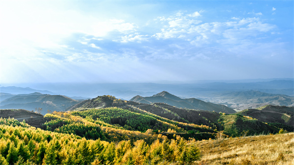 千庫網_內蒙古高山樹木秋色_攝影圖編號149741.jpg