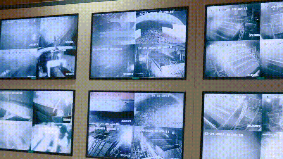 1740987757409708.gif