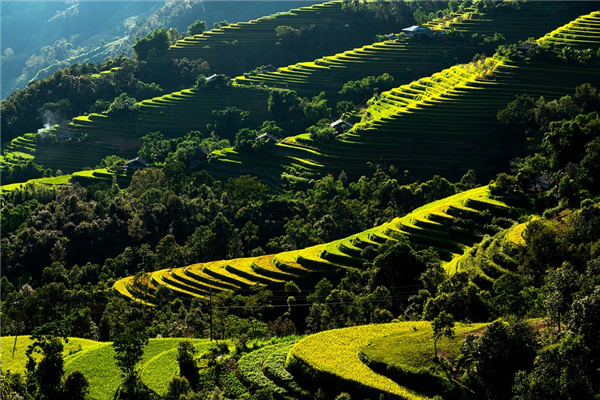 nature-8278521_960_720.jpg
