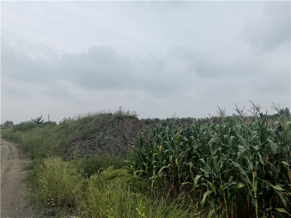 微信圖片_2025-09-09_134237_397.png
