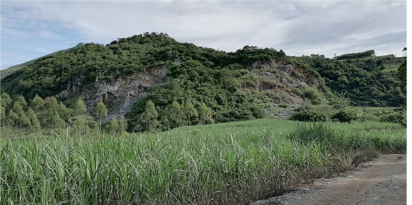 1767765020886362.jpg e5bc83fe29ee4300837ee0d4914e081d20251231122403704.jpg